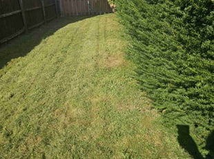 Brandon P.'s Lawn Care service result