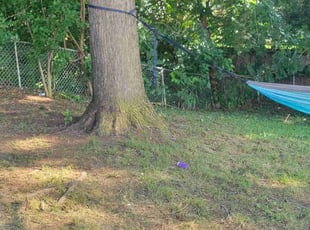 Cleanups by Gustavo Martinez for Norman h. in Woodbridge, VA