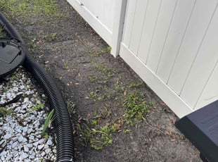 Leaf Removal by Raul Canete for Drew C. in Tampa, FL