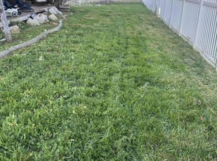 Cleanups by Crisbert MartΓnez for Elise B. in Farmington, UT