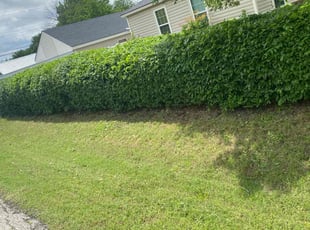 Bush Trimming by Jan ortiz for Quinton C. in Del City, OK