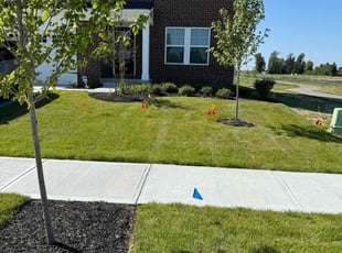 Crystal A.'s Lawn Mowing Service service result