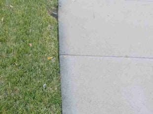 Melissa D.'s Lawn Care service result