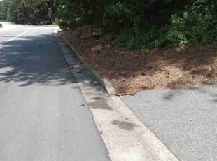 Cleanups by Lionel Lee for Ann P. in Lilburn, GA
