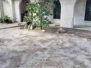 Leaf Removal by Pamela Gomez for Donna M. in Houston, TX