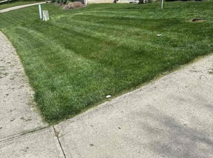 Jeffrey H.'s Grass Cutting service result