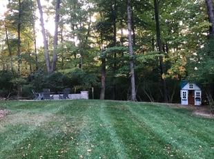 Leaf Removal by Gary Andersen for Tim R. in Cincinnati, OH