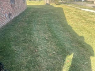 Leaf Removal by Shane Fellers for Alan B. in Canton, MI