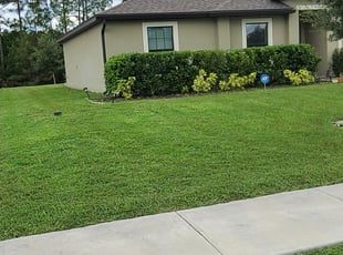 Bush Trimming by Matthew Strokus for Roen B. in Leesburg, FL