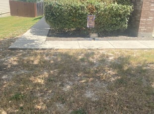 Bush Trimming by Lacy Dixon for Carrie M. in San Antonio, TX