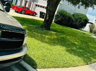 Jason M.'s Lawn Care service result