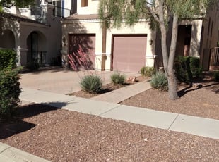 Leaf Removal by Gideon Cook for William V. in Phoenix, AZ