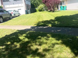 William O.'s Grass Cutting service result
