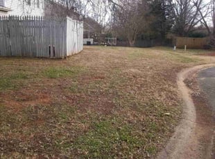 Leaf Removal by Adams Paiz for tan p. in Charlotte, NC