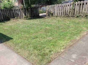 Cleanups by Maria Torres for Joseph W. in Chicago, IL