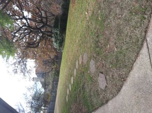 Cleanups by Aundra Thomas for David W. in Fort Worth, TX
