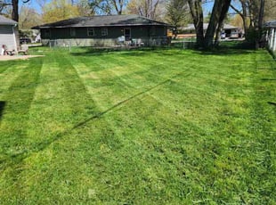 Adeline K.'s Lawn Maintenance service result