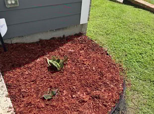 Landscaping by Louis Odell for Jo L. in Lafayette, LA