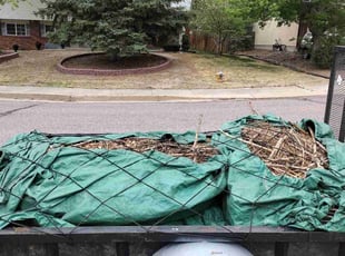 Cleanups by Wali Bowlds for Jennifer R. in Colorado Springs, CO
