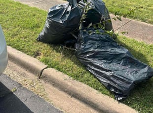 Bush Trimming by Eric Aguirre for Sidney D. in Dallas, TX