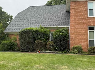 Bush Trimming by Brandon Sumpter for Chance D. in Collierville, TN