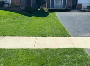 Manivasagam S.'s Lawn Mowing service result