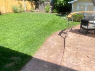 Cleanups by Aaron F for Caitlin R. in Wheat Ridge, CO