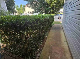 Bush Trimming by Abdiel Carral for Kevin R. in Villa Rica, GA