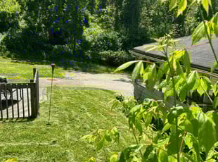 Michelle R.'s Lawn Maintenance service result
