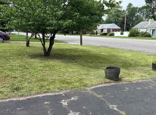 Cleanups by Timothy Booth for Erica W. in Florissant, MO