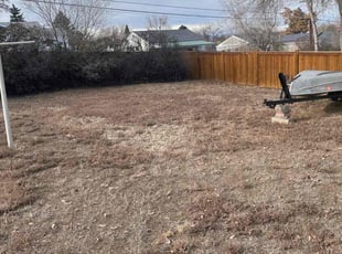 Leaf Removal by Adameus Marcum for Darlene S. in Denver, CO