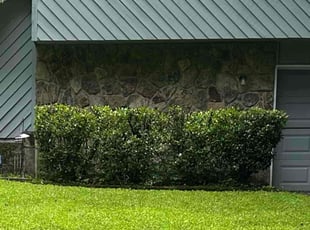 Bush Trimming by Melvin Mapp for Mark S. in Snellville, GA