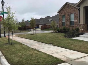 Kat M.'s Lawn Service service result