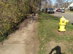 Cleanups by Jacob Jumper for Julie D. in Grand Rapids, MI