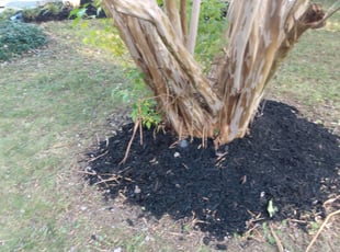 Mulching by Greg Bush for Michelle W. in Fort Washington, MD