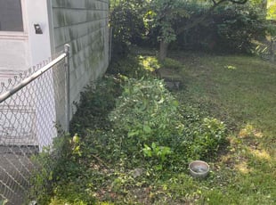 Weeding by Kenneth Lagger for Roy B. in Toledo, OH