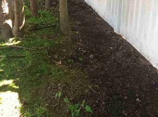 Leaf Removal by Gabriel Afolayanka for tunisia f. in Stratford, CT