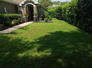 Michael A.'s Lawn Mowing Service service result