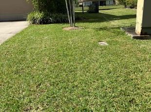 Larry U.'s Lawn Mowing service result