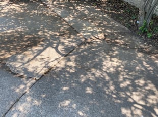 Leaf Removal by Victor Ramirez for Jeremy P. in Irving, TX