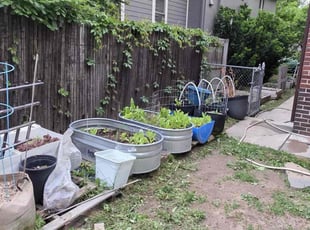 Weeding by Katherine Lopez Saavedra for Jackson W. in Denver, CO
