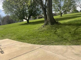Lohith Y.'s Lawn Maintenance service result