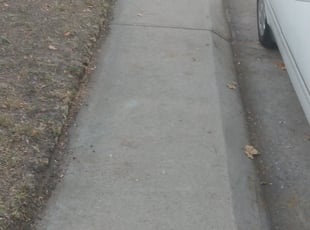 Leaf Removal by Marsha Fosnight for Carly S. in Denver, CO