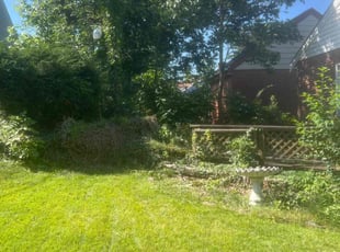 Bush Trimming by James Abernathy for Cheri C. in Cincinnati, OH