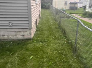 Bush Trimming by Richard Anderson for Patrice B. in Minneapolis, MN
