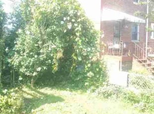 Cleanups by Chris Stewart for Savannah D. in Washington, DC