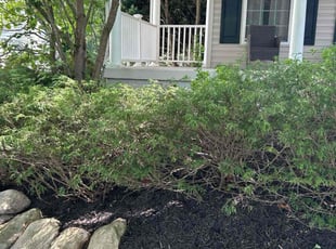 Cleanups by Robert Hatton for Gerald F. in Stafford, VA