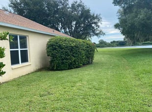 Bush Trimming by Micheal Simmons for Qi W. in Lakewood Ranch, FL