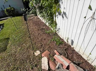 Leaf Removal by Steven Kane for Michael p. in Roselle Park, NJ