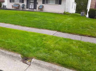 Kyndrea K.'s Lawn Service service result